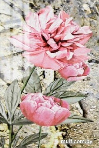 Картина на стекле ArtaBosko LM-01-65-04 (40x60)