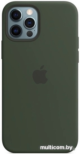Чехол Apple MagSafe Silicone Case для iPhone 12/12 Pro (кипрский зеленый)