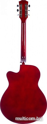 Акустическая гитара Belucci BC4040 1565