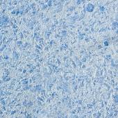 Жидкие обои Silk Plaster Victoria 717