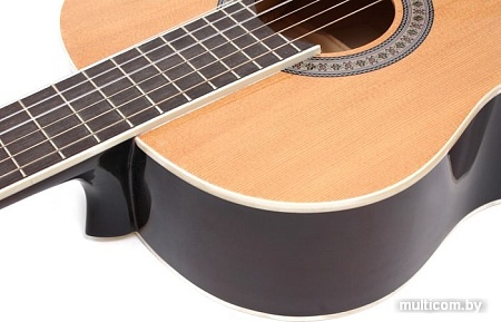 Акустическая гитара Aileen AC965H