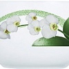 Салатник Luminarc White Orchid J7495