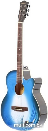 Акустическая гитара Elitaro E4040 Wave