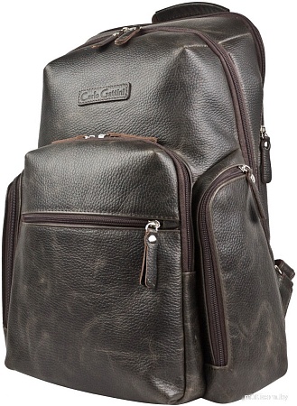 Carlo Gattini Sinfonica Bertario 3102-04 (темно-коричневый)