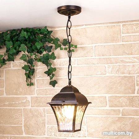 Уличный подвесной светильник Elektrostandard Apus H GL 1009H (черное золото)