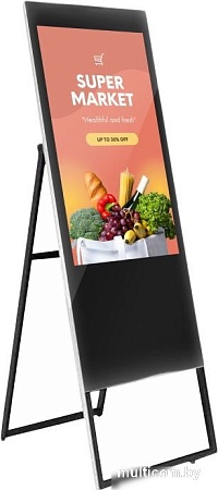 Информационная панель ZKDigimax DG03-A2F43