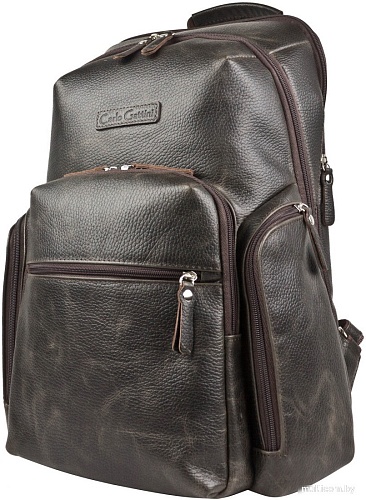 Carlo Gattini Sinfonica Bertario 3102-04 (темно-коричневый)