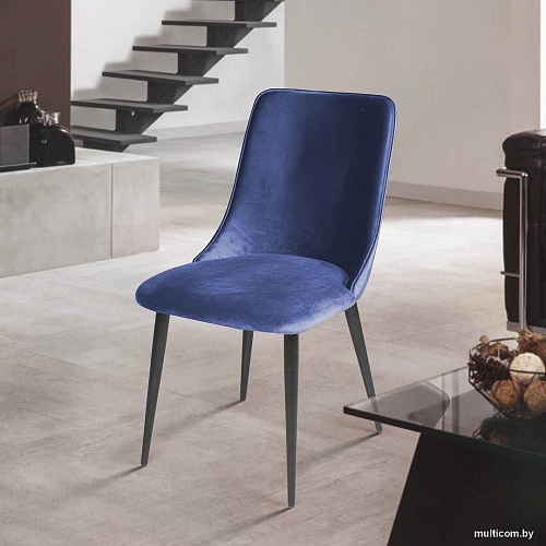 Стул Ваш день Joe Barkhat 81 (темно-синий, 2шт)