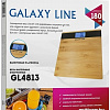 Напольные весы Galaxy GL4813