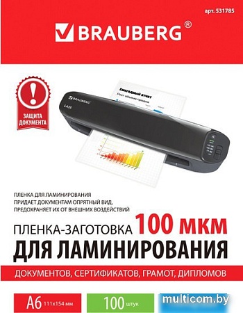 Пленка для ламинирования BRAUBERG Brauberg А6 100 мкм 100 шт 531785 (глянцевый, прозрачный)