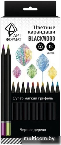 Набор цветных карандашей АртФормат AF03-051-12
