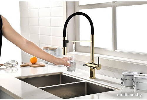 Смеситель Paulmark Gravity Gr213188-G