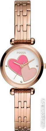 Наручные часы Fossil BQ3697