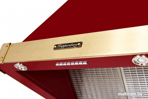 Кухонная вытяжка KUPPERSBERG V 639 BOR Bronze