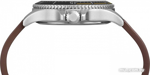 Наручные часы Timex TW4B15100