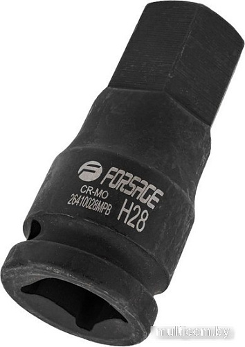 FORSAGE F-26410028MPB