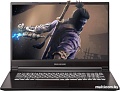 Ноутбук Dream Machines G1650-17BY25
