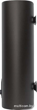 Накопительный электрический водонагреватель Royal Thermo RWH 30 Citadel Unic Grafit