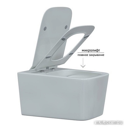 Унитаз Berges Wasserhaus Floe Rimless + Floe Slim SO 082121