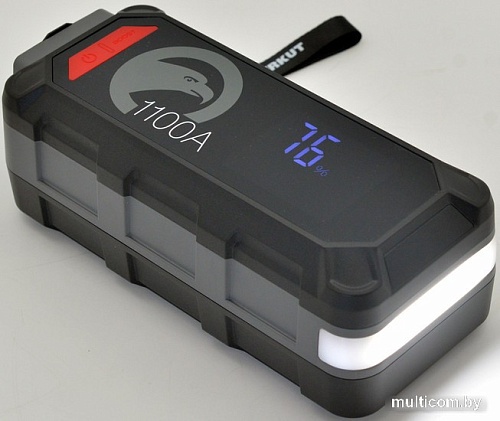 Портативное пусковое устройство Беркут PSL-150