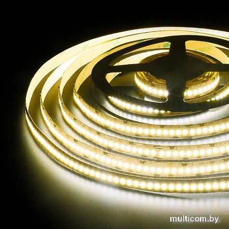 Светодиодная лента Elektrostandard 12V 24W 240Led 2835 IP20 теплый белый a050173