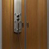 Душевая дверь Radaway Premium Plus DWD 150 (прозрачное стекло)