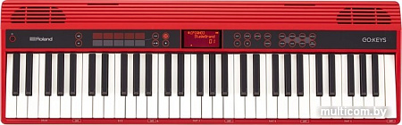 Синтезатор Roland Go:Keys