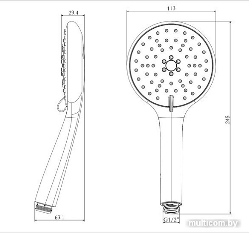 Душевая лейка Lemark LM8116C