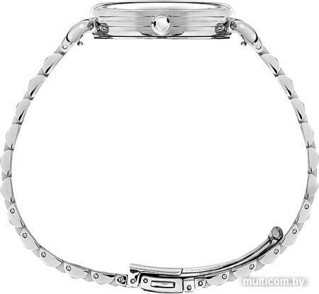 Наручные часы Timex TW2T88800