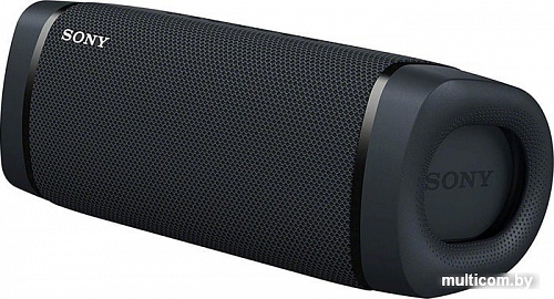 Sony SRS-XB33 (черный)
