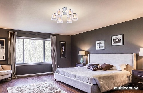 Люстра средней высоты Escada 642/6PL Chrome