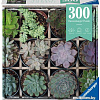 Пазл Ravensburger Суккуленты 12967 (300 эл)