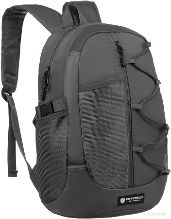 Peterson PTN 79901 (серый)