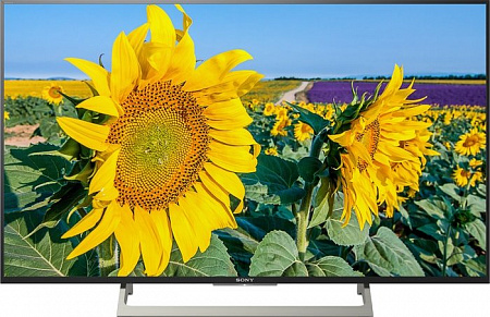Телевизор Sony KD-49XF8096