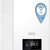 Отопительный котел Thermex Grizzly 5-12 Wi-Fi