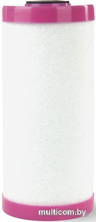 Картридж Гейзер Fe BB20