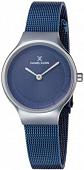 Наручные часы Daniel Klein DK11986-7