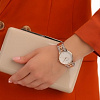 Наручные часы Pierre Cardin PC902722F201