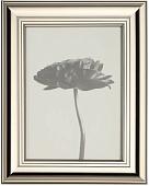 Фоторамка Eglo Renabie 423001