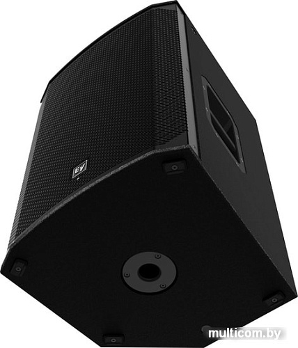 Концертная акустика Electro-Voice EKX-15P