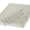 Hengst E2953LI