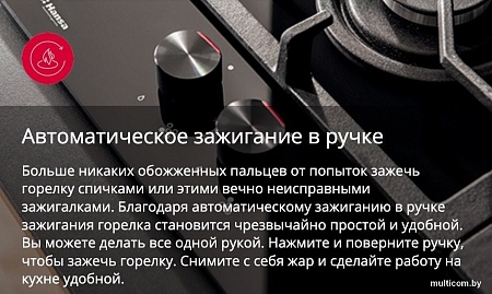 Кухонная плита Hansa FCMX58259