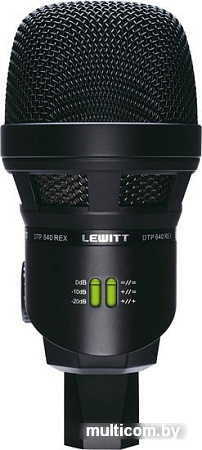 Микрофон Lewitt DTP 640 Rex
