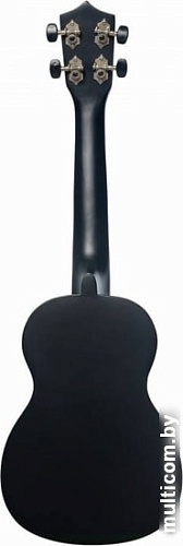 Укулеле Terris TTC-1 BK