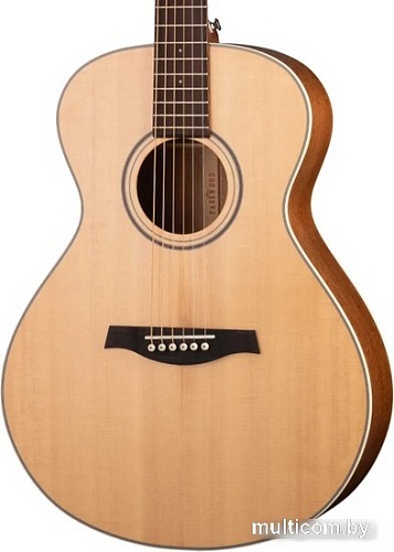 Акустическая гитара Parkwood S23-GT