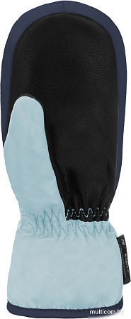 Горнолыжные варежки Reusch Ben Mitten 6285408-4498 (р-р 3, Starlight Blue/Dress Blue)