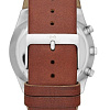 Наручные часы Skagen SKW6085