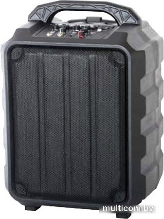 Колонка для вечеринок Leem PR-6
