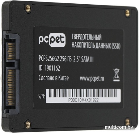 SSD PC Pet 256GB PCPS256G2