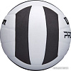 Волейбольный мяч Wilson Pro Tour Vb WTH20119X (5 размер, белый/черный)